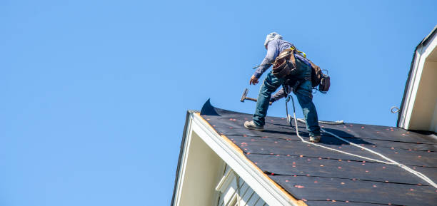 Best Flat Roof Repair Services  in Osceola, IA